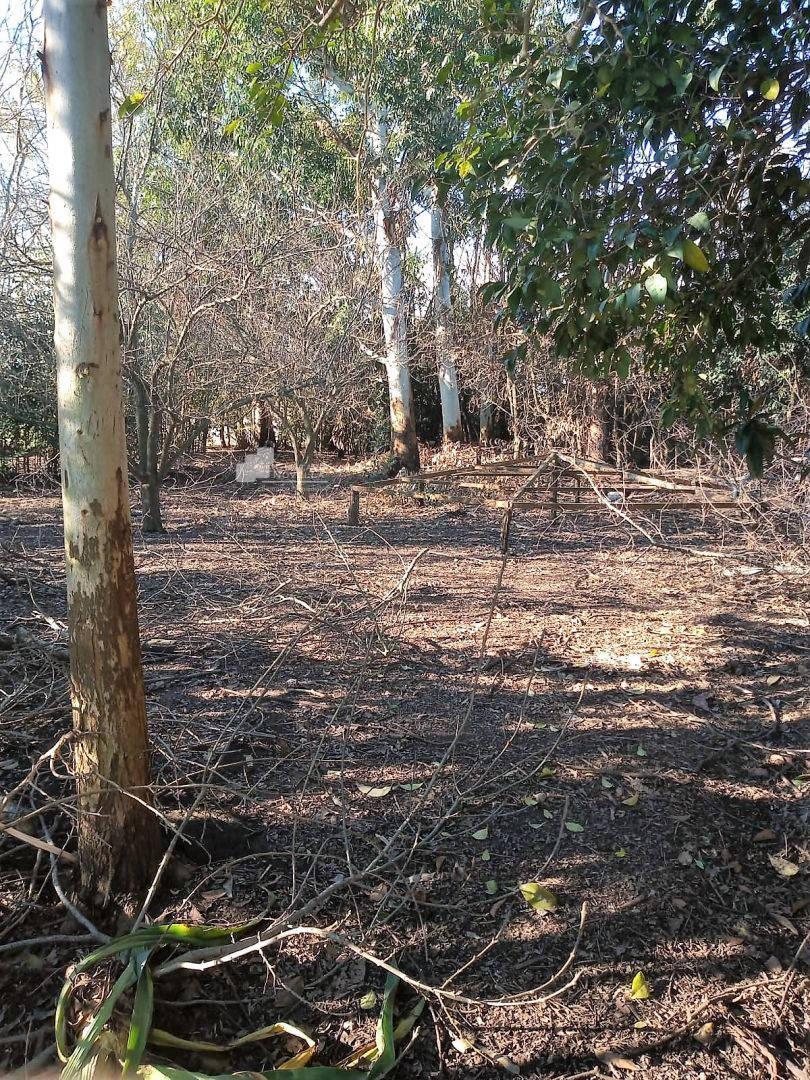 Lote de Terreno en Chascomus 2