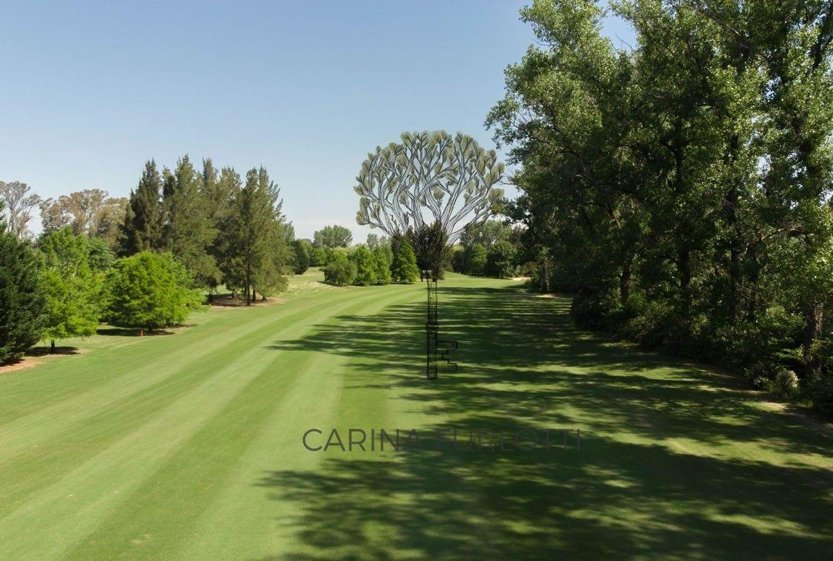 Foto de Lote de terreno en venta La Colina Villa de Campo Lujan, imagen 2