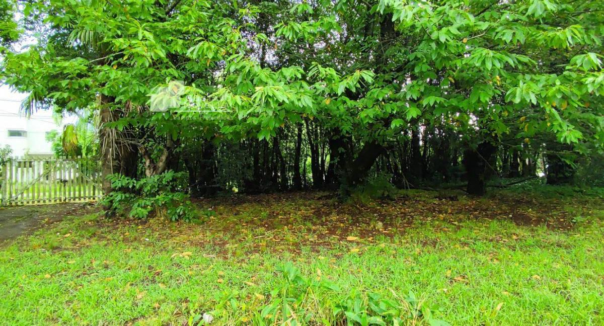 Lote en Venta Sup 3000 m² Próximo a La Laguna 1