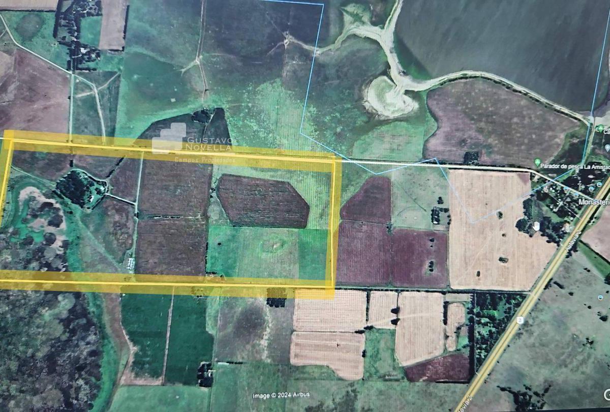 Campo Agrícola - Chascomus 138 Ha 2