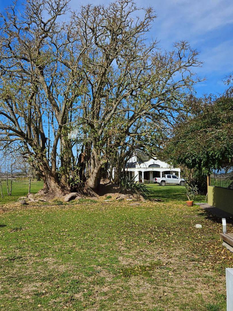 Campo Agrícola - Chascomus 138 Ha 4