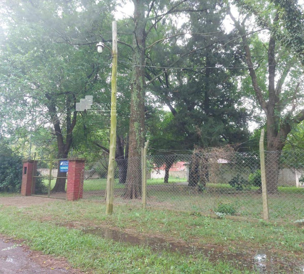 Lotes de Terreno en Venta 2