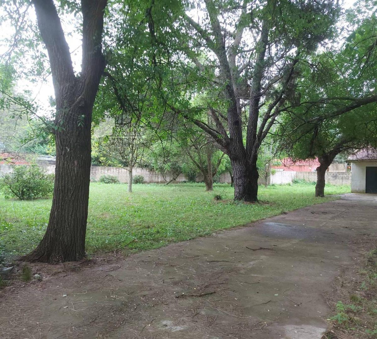 Lotes de Terreno en Venta 1