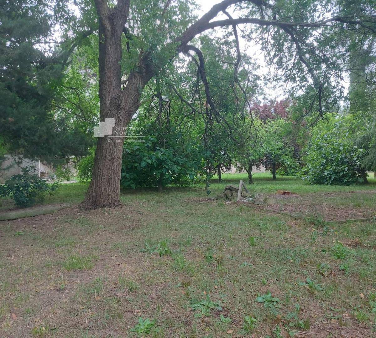 Lotes de Terreno en Venta 3
