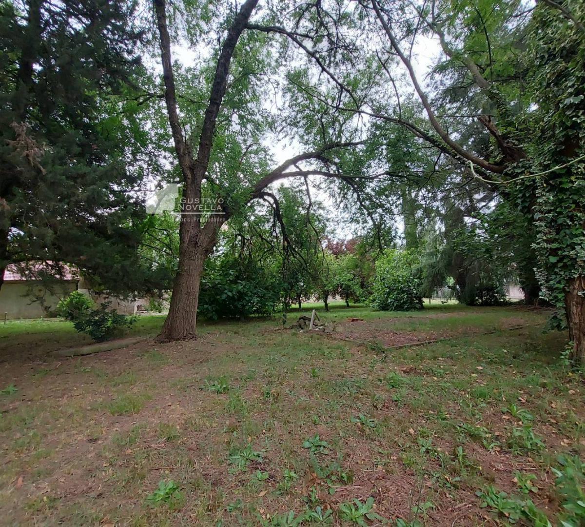 Lotes de Terreno en Venta 2
