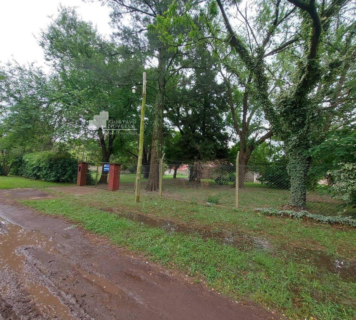 Lotes de Terreno en Venta 4