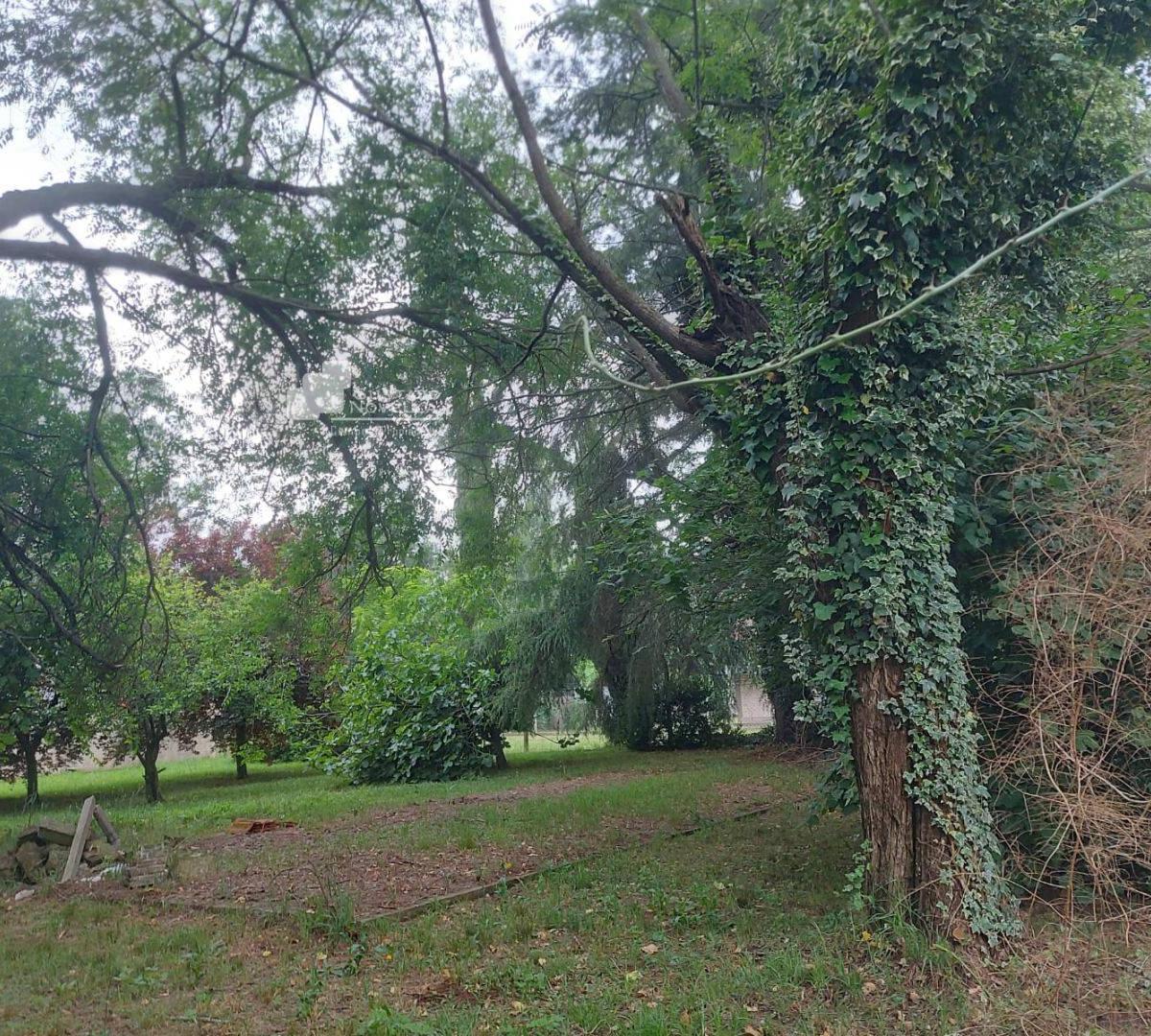 Lotes de Terreno en Venta 5