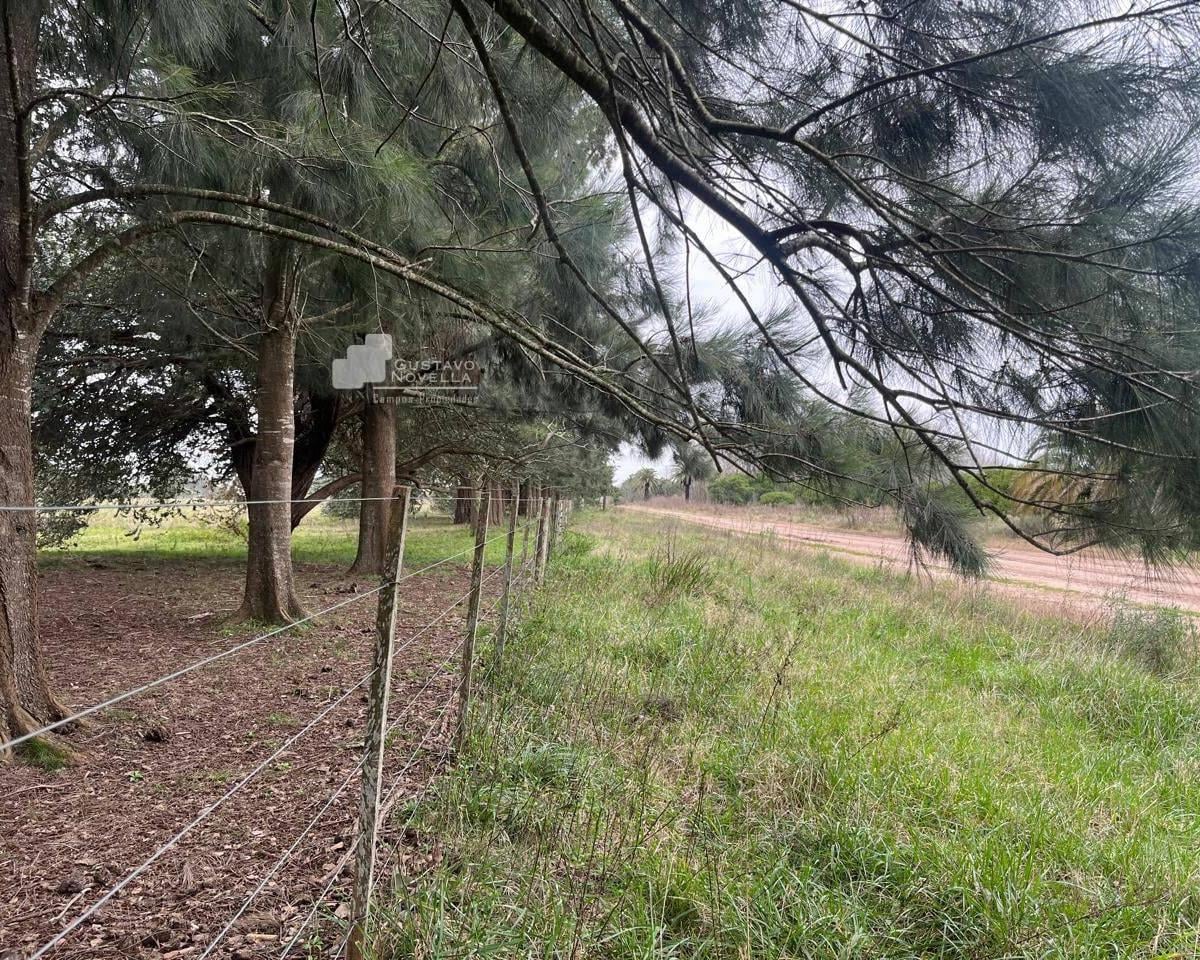 Foto de Chacra en venta, imagen 3