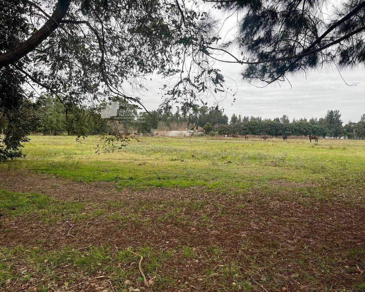 Foto de Chacra en venta, imagen 5