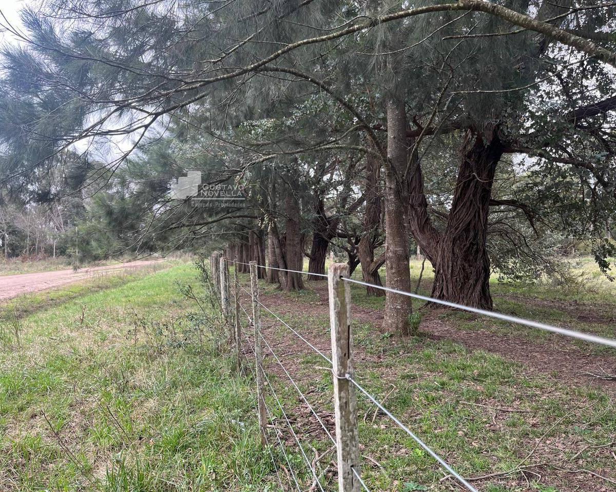 Foto de Chacra en venta, imagen 2