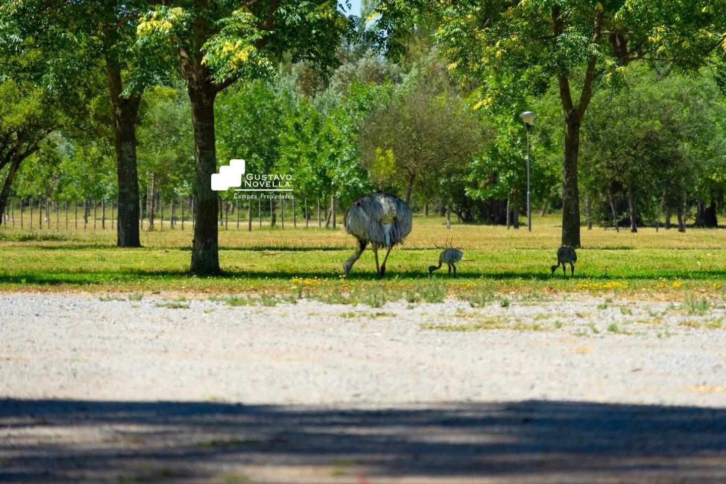 Terreno en venta Club de Campo El Mirador Ruta 2 Km 90