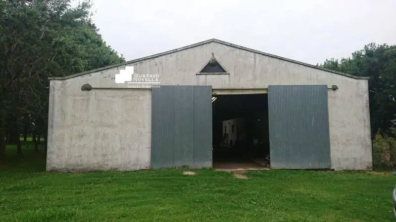 Campo en venta Pcia de buenos Aires 5