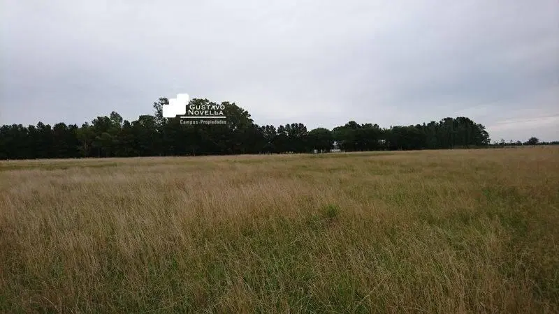 Campo en venta Pcia de buenos Aires 4