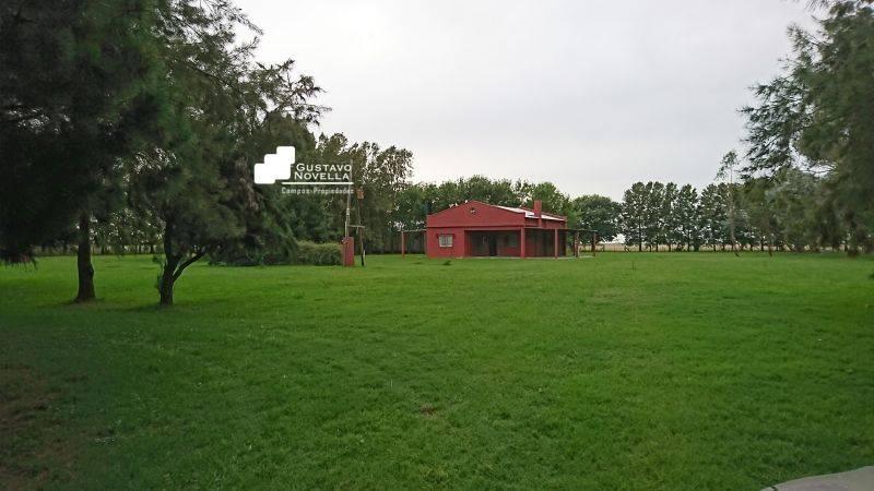Foto de Campo en venta Pcia de buenos Aires, imagen 3
