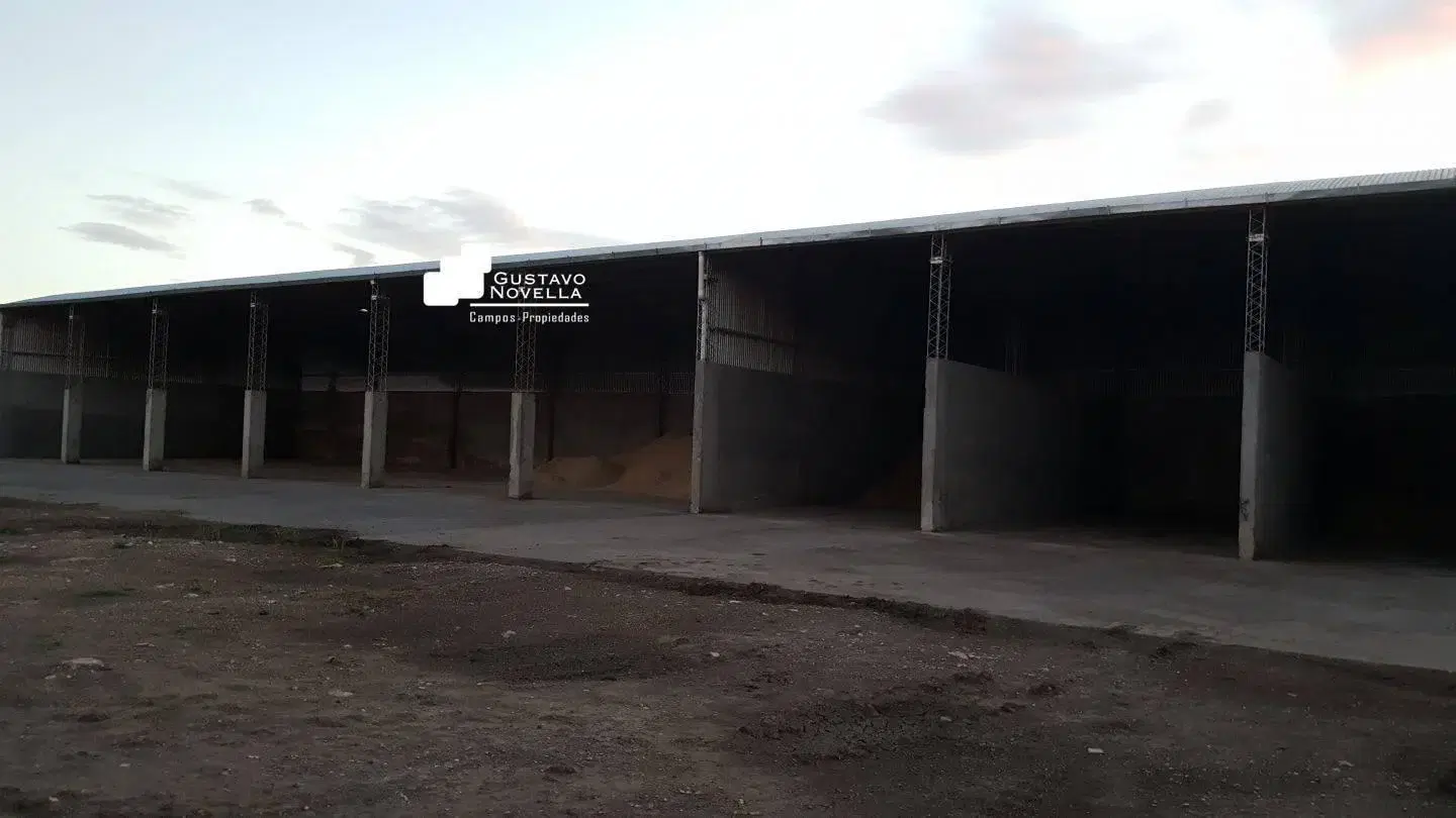 Campo mixto en venta 1360has 5