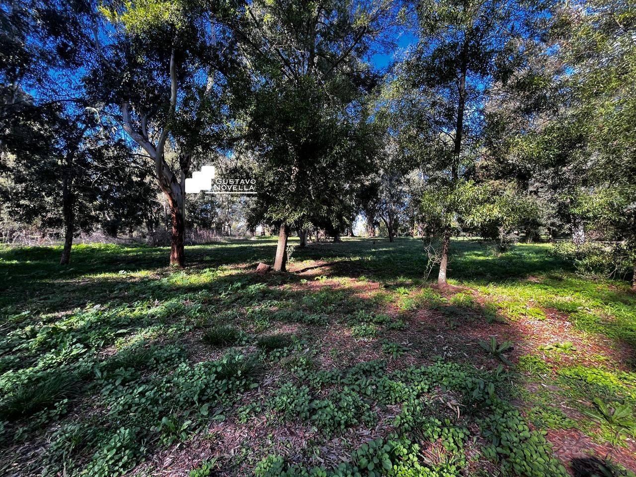 Foto de Lote en venta frente a la laguna de chascomus, imagen 1