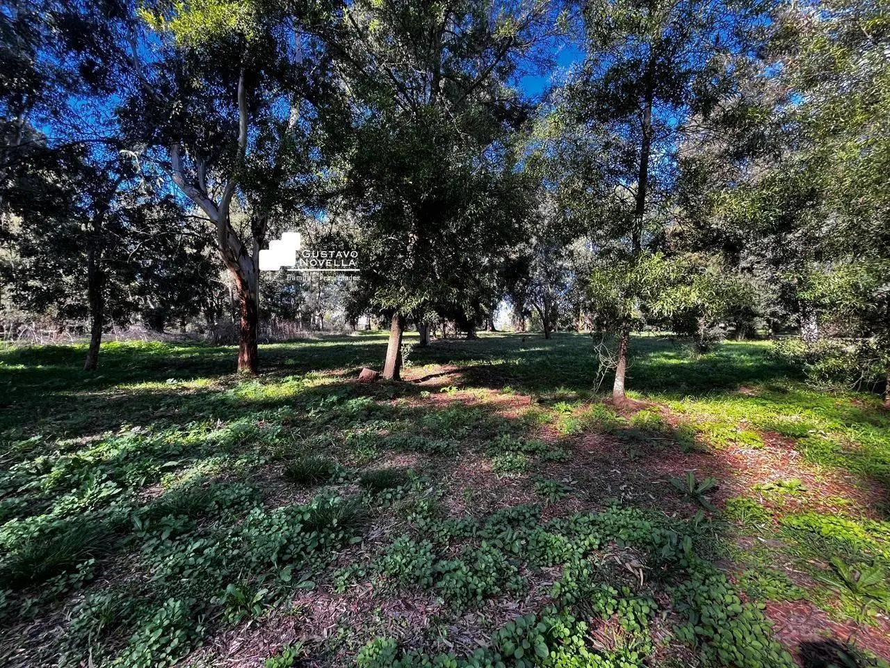 Lote en venta frente a la laguna de chascomus 1