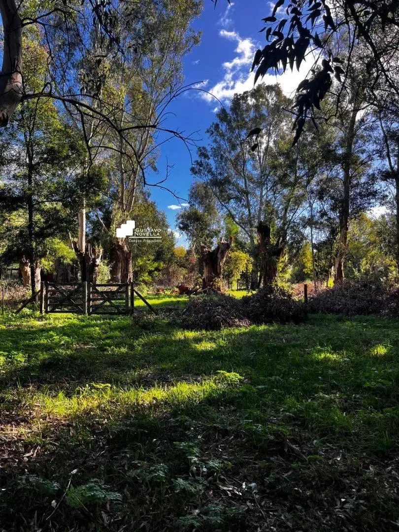 Lote en venta frente a la laguna de chascomus 3
