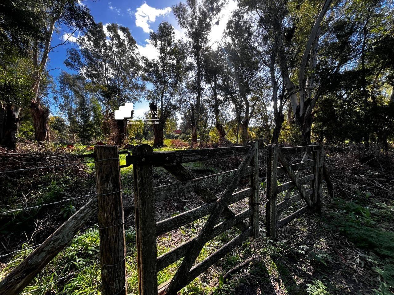 Foto de Lote en venta frente a la laguna de chascomus, imagen 5