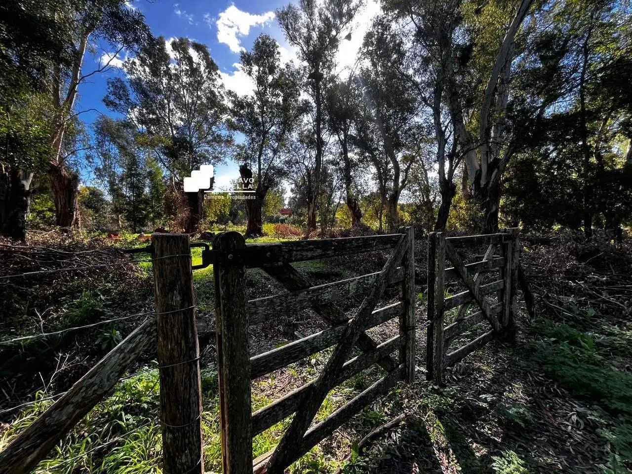 Lote en venta frente a la laguna de chascomus 5