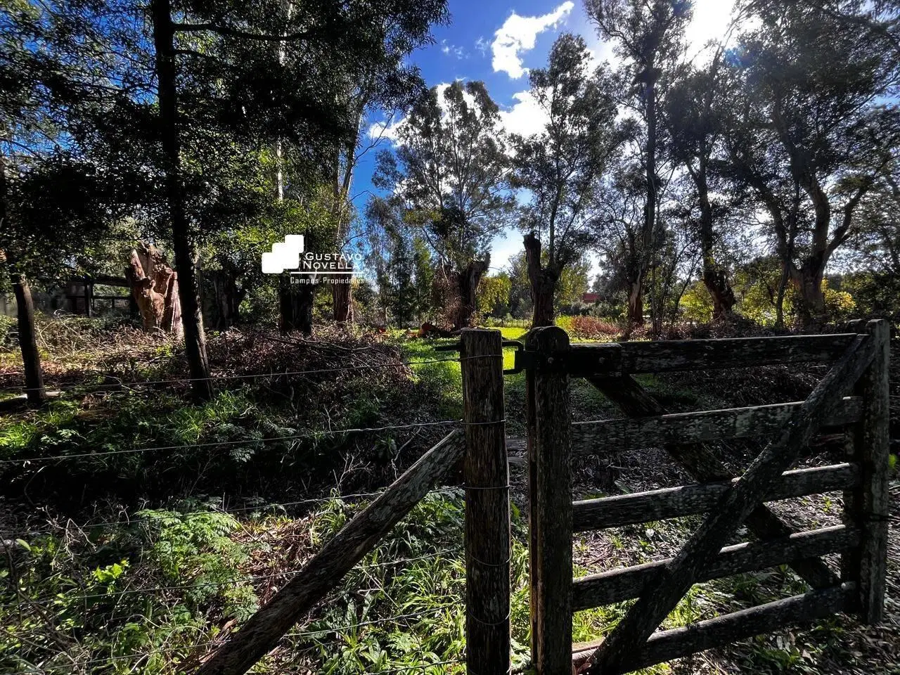 Lote en venta frente a la laguna de chascomus 4