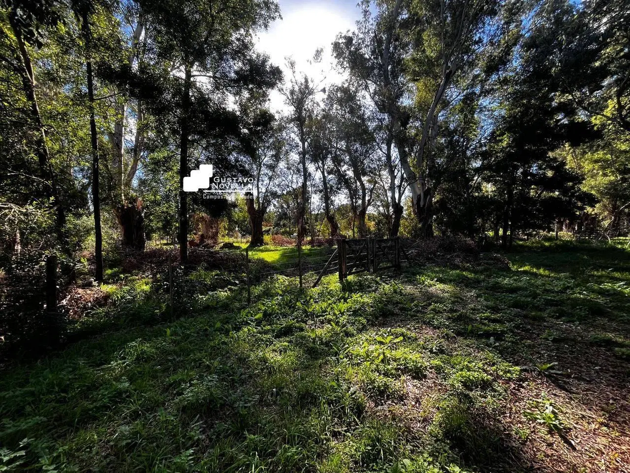 Lote en venta frente a la laguna de chascomus 2