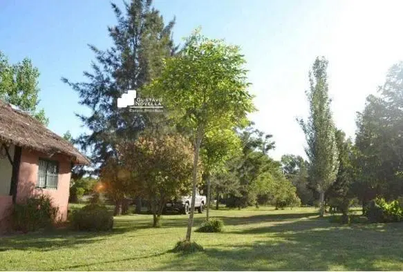 Campo en venta 126hs 3