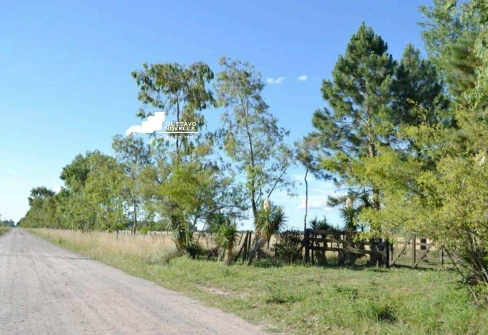 Campo en venta 126hs