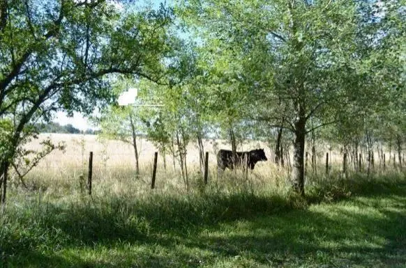 Campo en venta 126hs 4