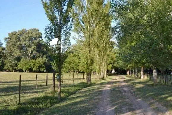Campo en venta 126hs 5