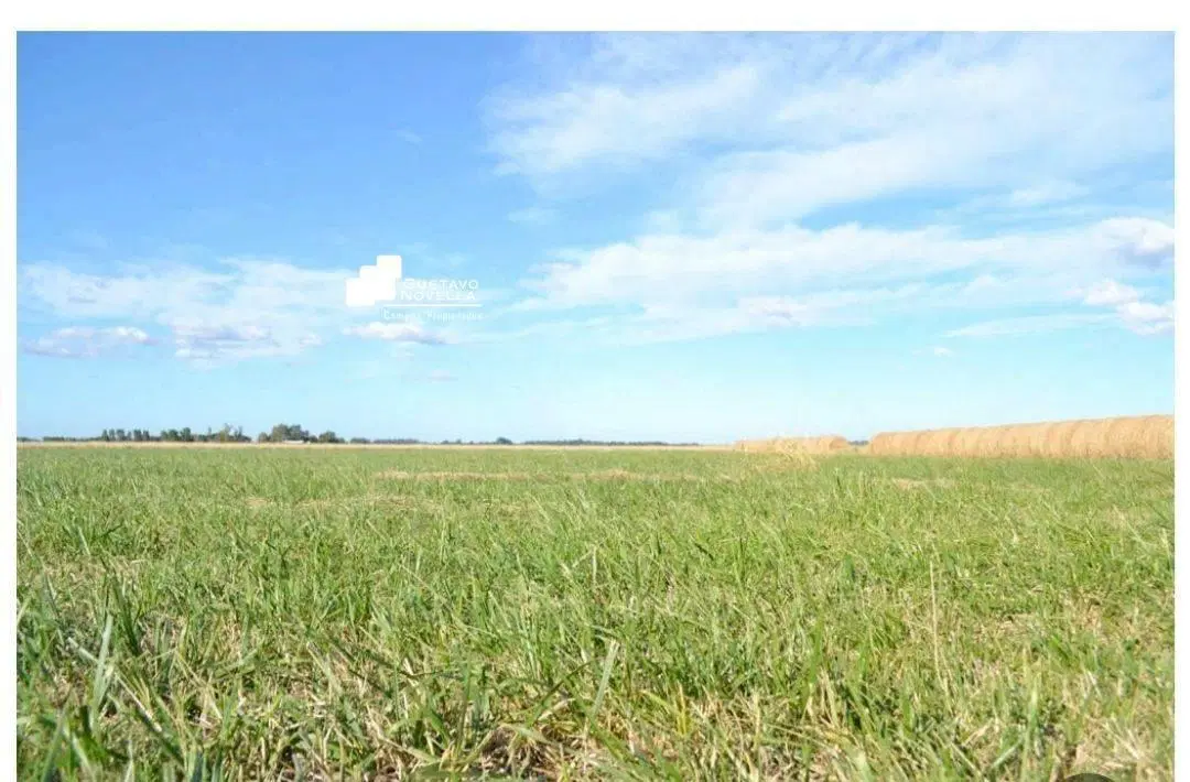 Campo en venta 126hs 2