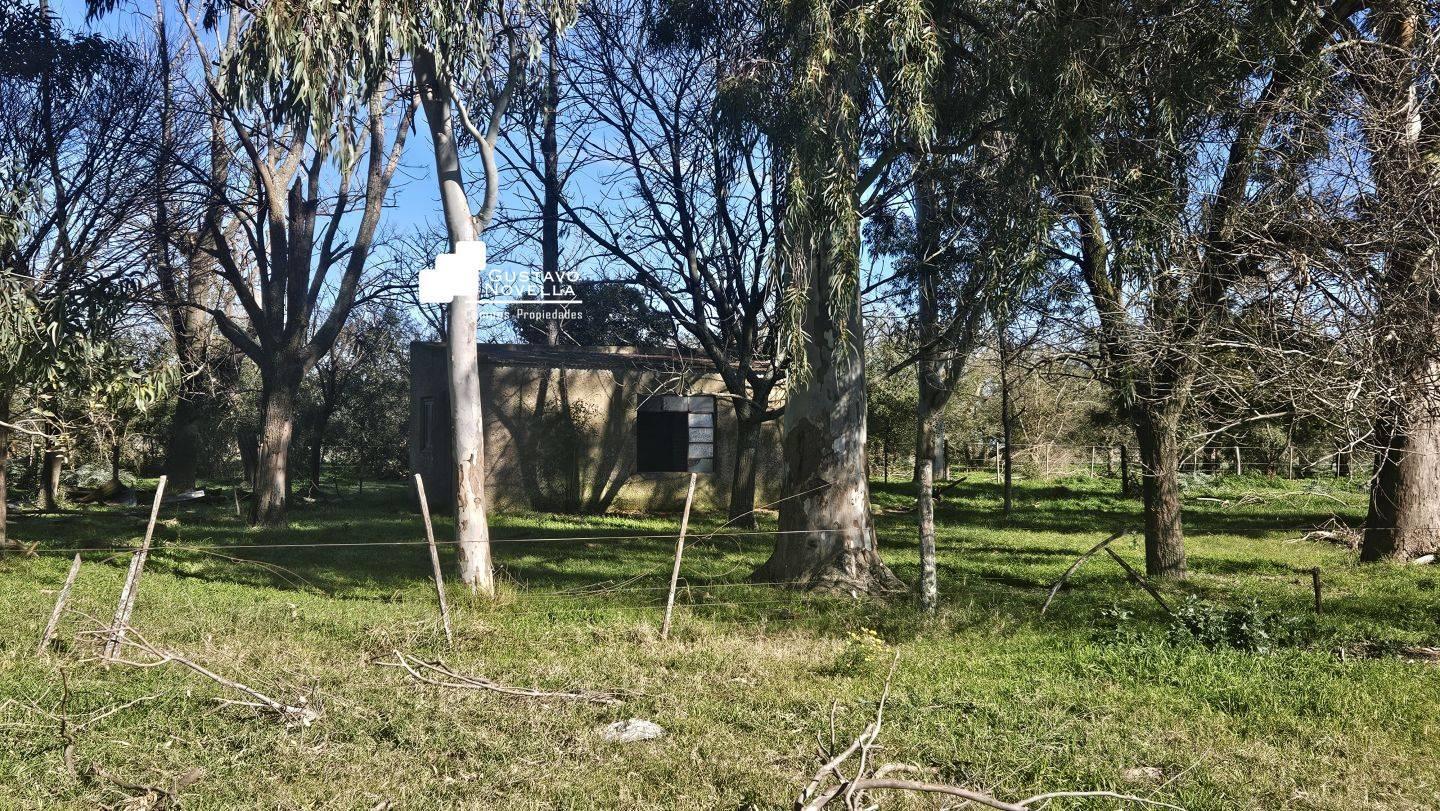 Foto de Campo en venta 220has Magdalena, imagen 4