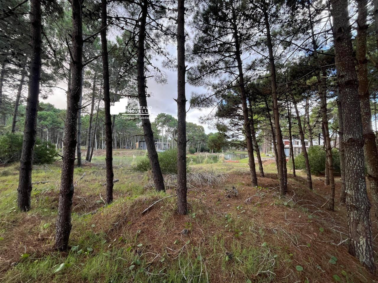 Foto de Lote de Terreno en Venta Villarobles- Albatros, imagen 5