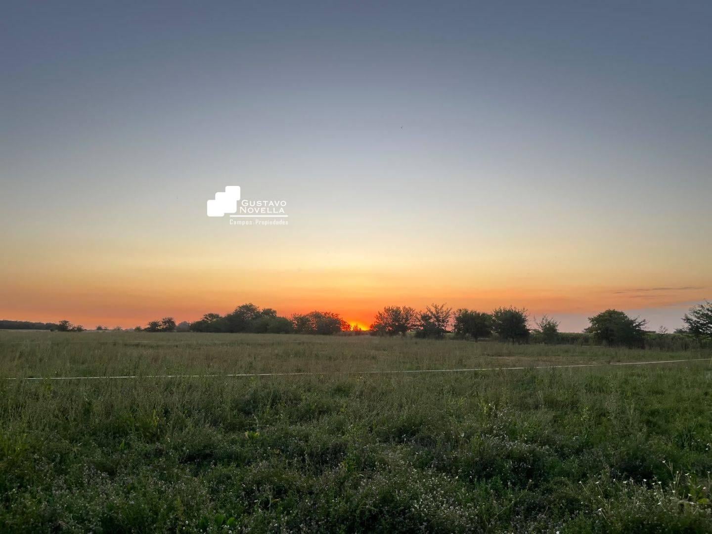 Foto de Lote de terreno en venta en El Mirador Club de Campo, imagen 4