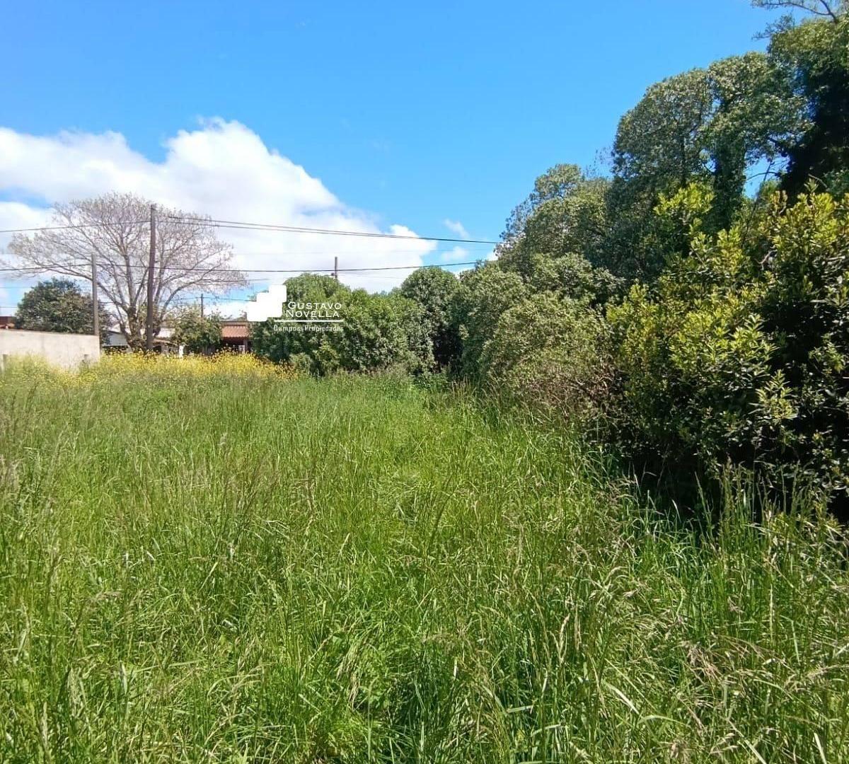 Foto de Terreno en venta- Barrio Fatima, imagen 4