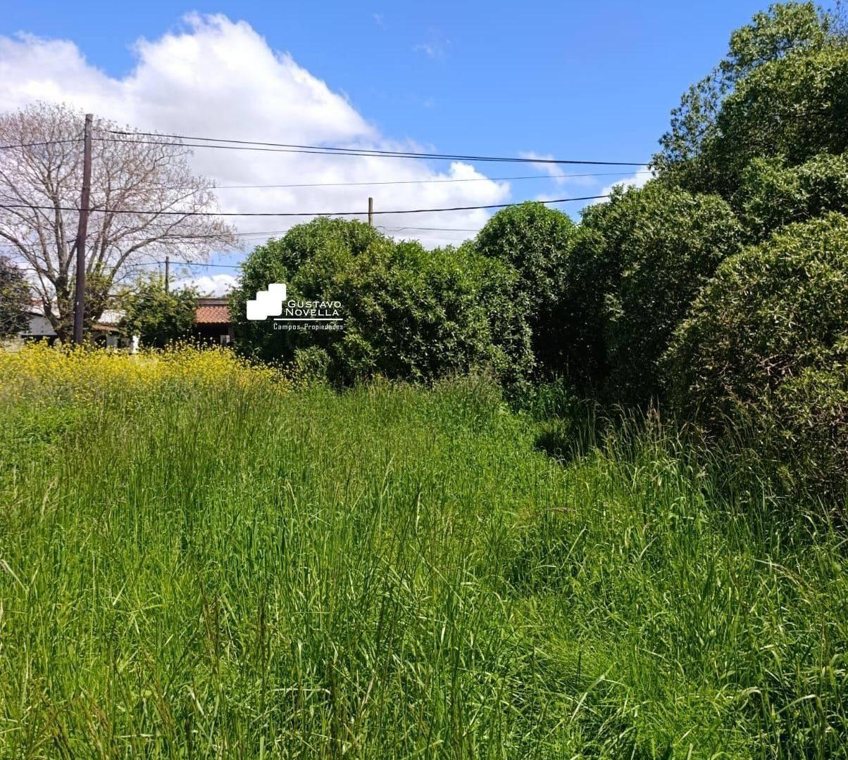 Foto de Terreno en venta Barrio Fatima Chascomus, imagen 4