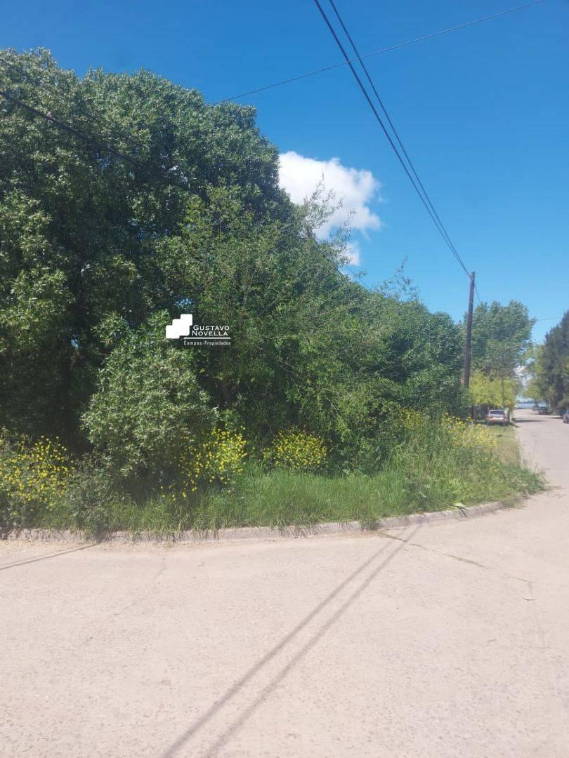 Foto de Terreno en venta Barrio Fatima Chascomus, imagen 1