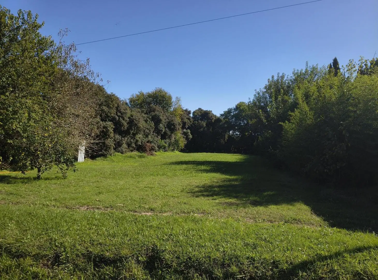 Terreno en Venta en Los Morros Funes 4