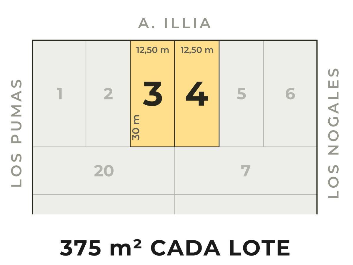 Foto de Lotes comerciales sobre Av. Illia - 750 m² - a metros de La Reina, imagen 2