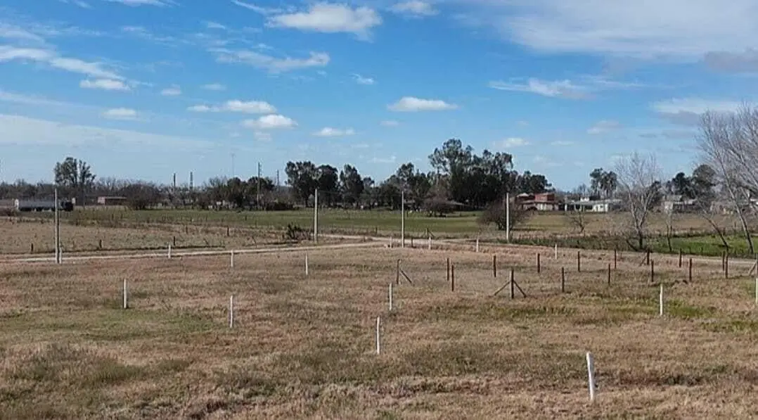 Terreno Lote  en Venta en Carmen de Areco, Resto de la Provincia, Buenos Aires 5