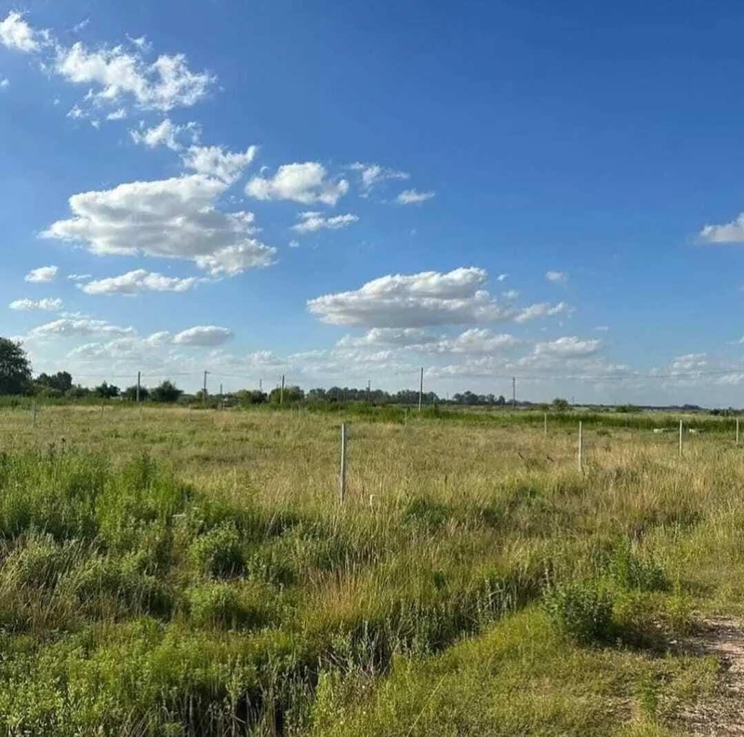 Terreno Lote  en Venta en Carmen de Areco, Resto de la Provincia, Buenos Aires 2