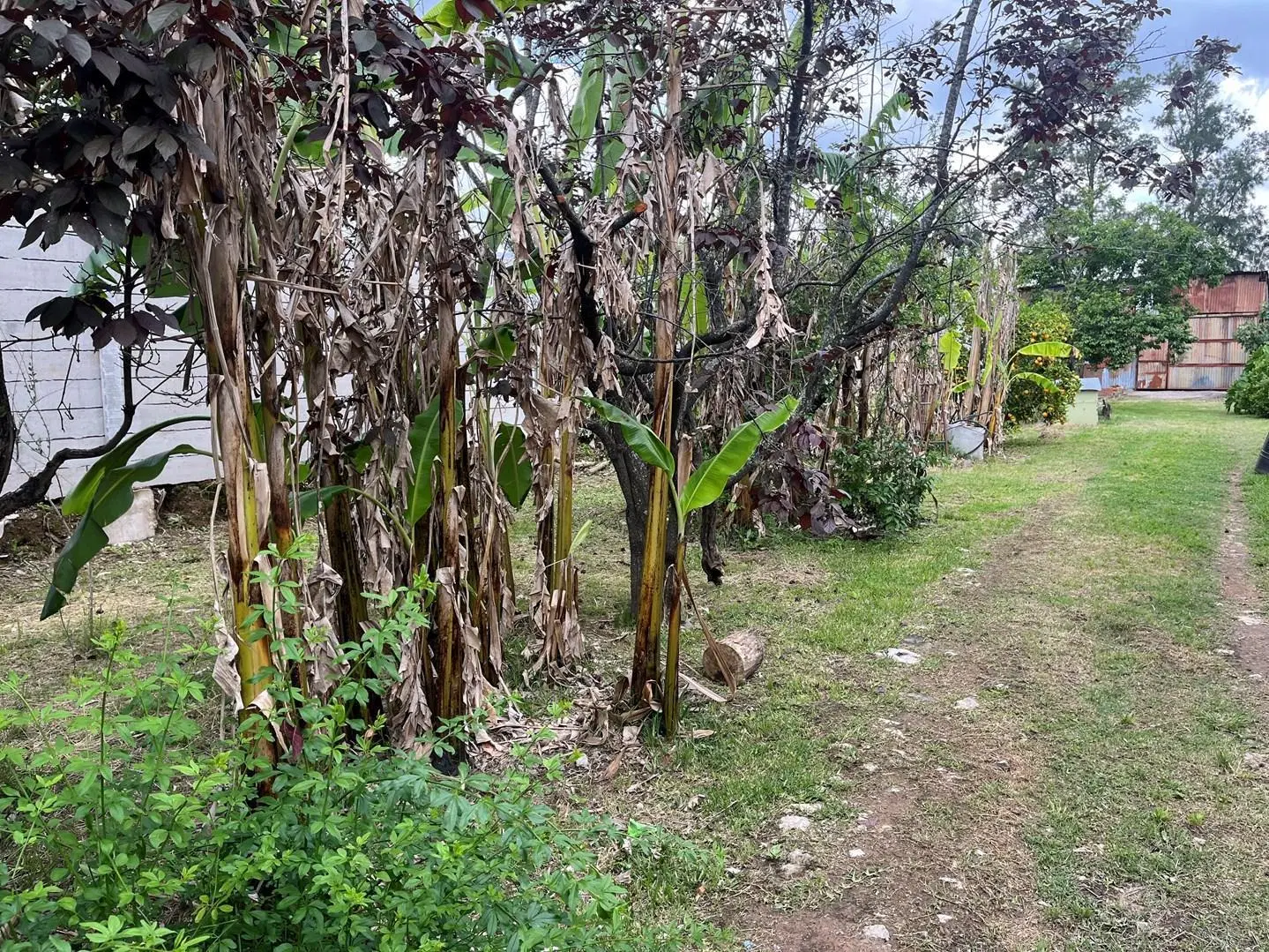 Terreno Lote  en Venta en Rincón de Milberg, Tigre, G.B.A. Zona Norte 5