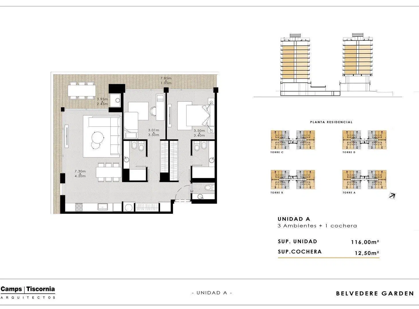 Plano 6