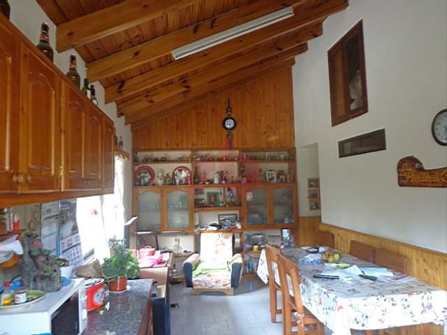 Casa - Pájaro Azul 5