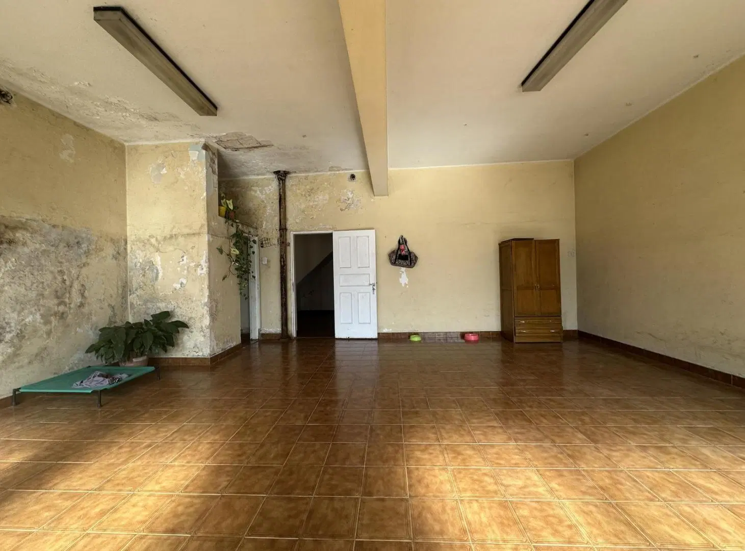 Local comercial en alquiler en Fisherton 5