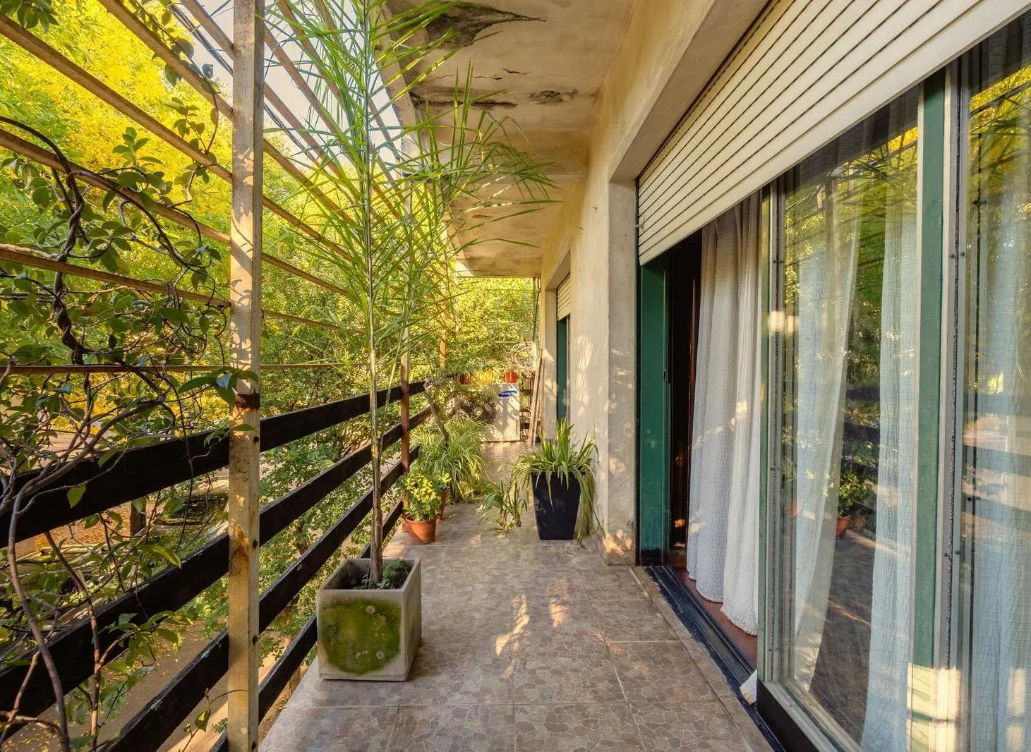 casa en venta barrio zona sur 3 dormitorios terraza amplio luminoso 8