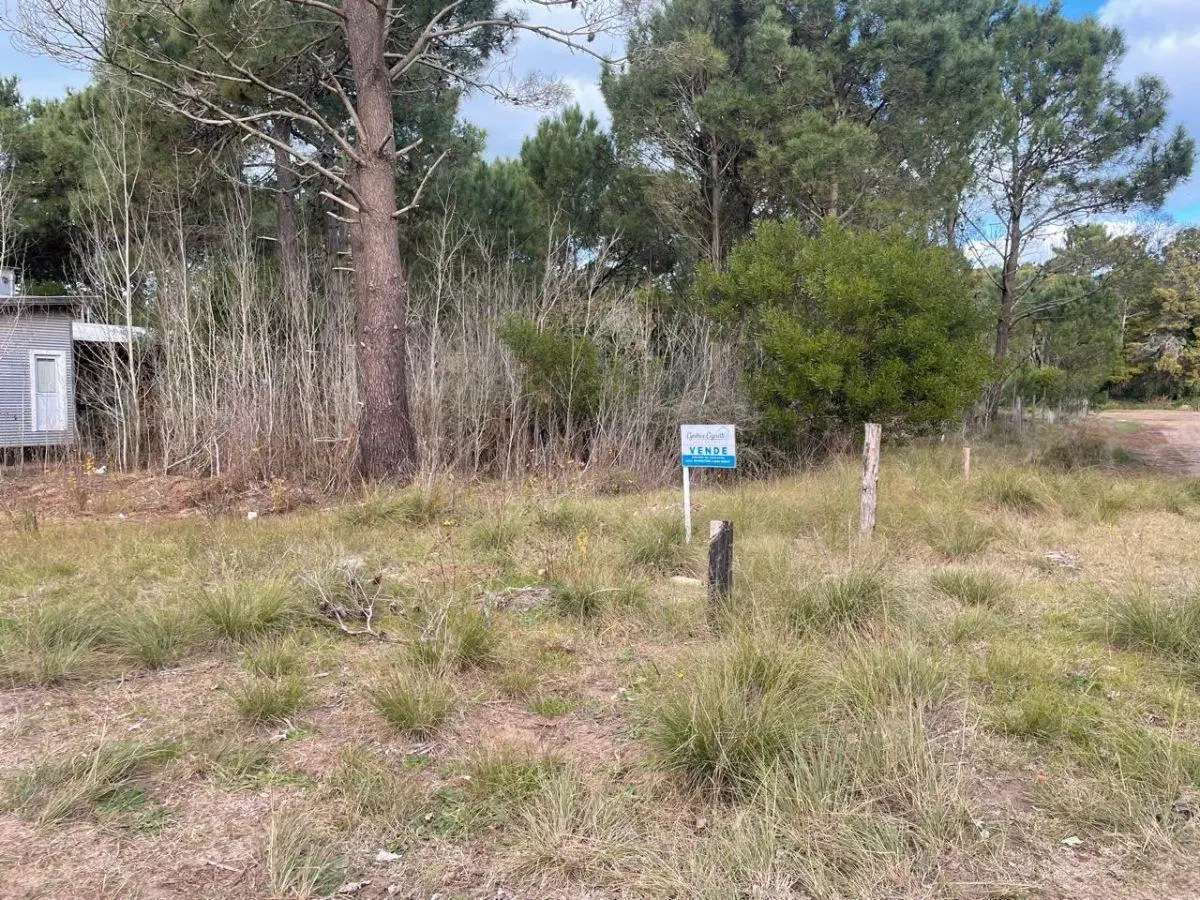 lote a una cuadra de carilo 5
