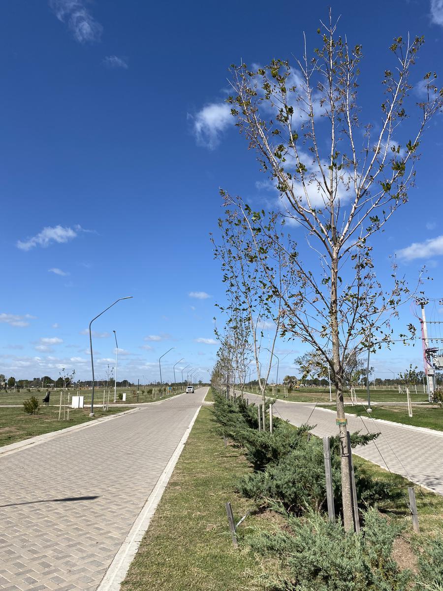 Terreno 300 m² - Ecotierra - Pueblo Esther - Distrito Cero 2