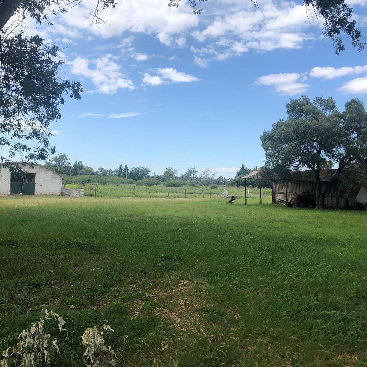 Venta Campo 16 ha con salida al Parana Fighiera