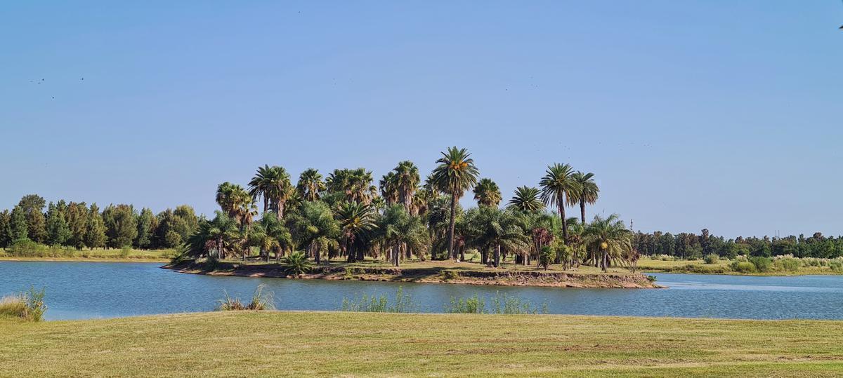 Terreno en  venta en Kentucky club de campo